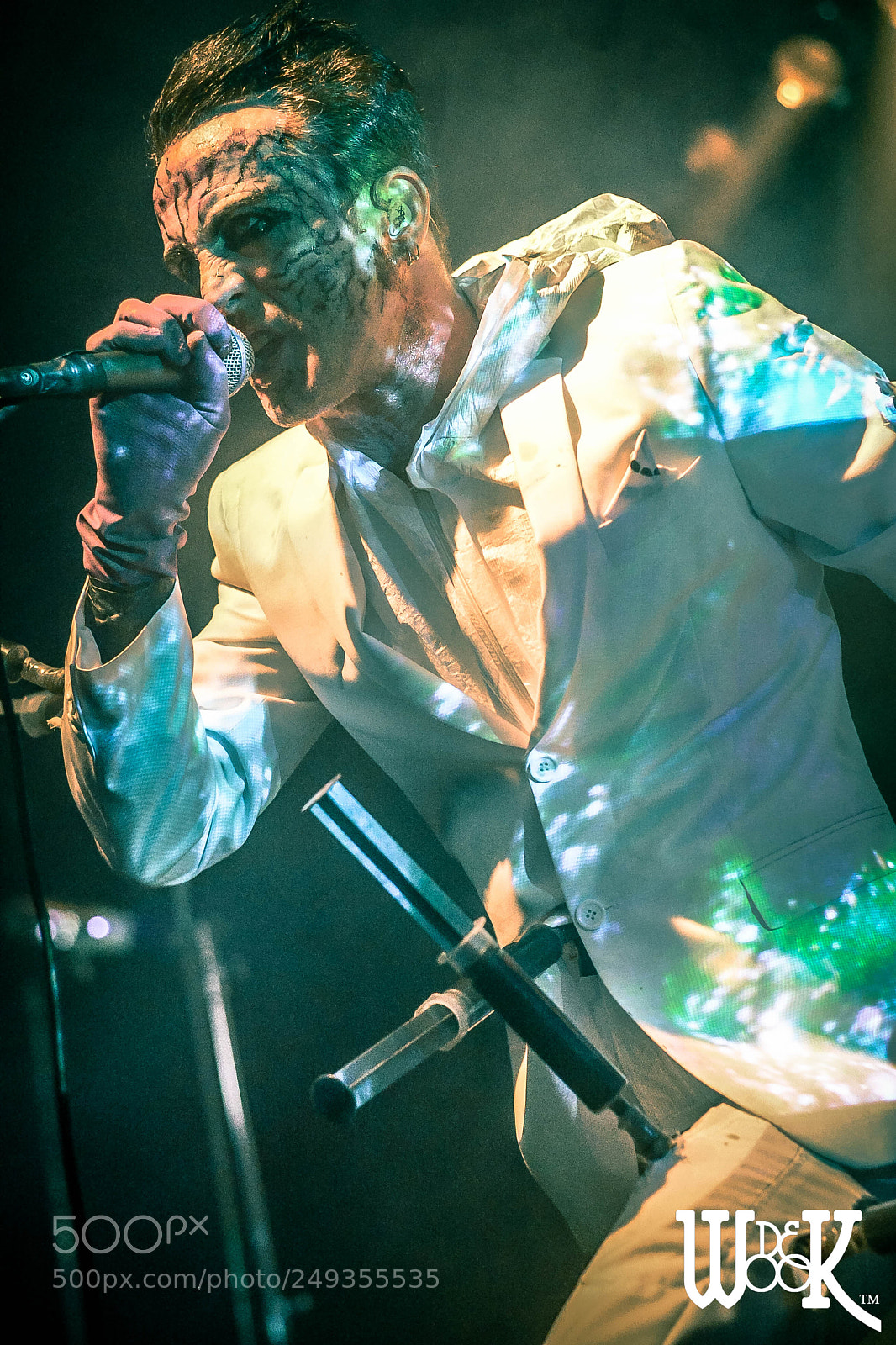 Nikon D610 sample photo. Skinny puppy photography