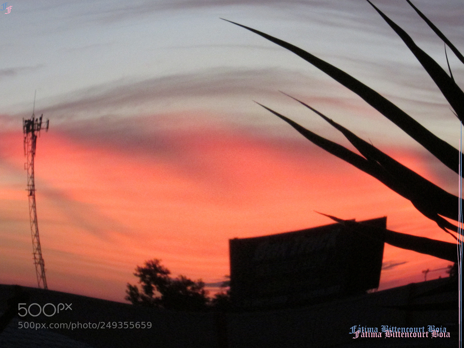 Canon PowerShot SX500 IS sample photo. 254.jpg photography