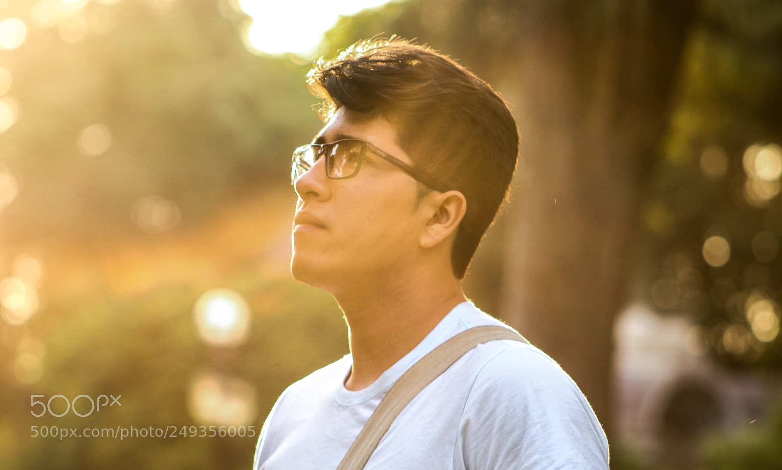 Canon EOS 750D (EOS Rebel T6i / EOS Kiss X8i) sample photo. Johan photography