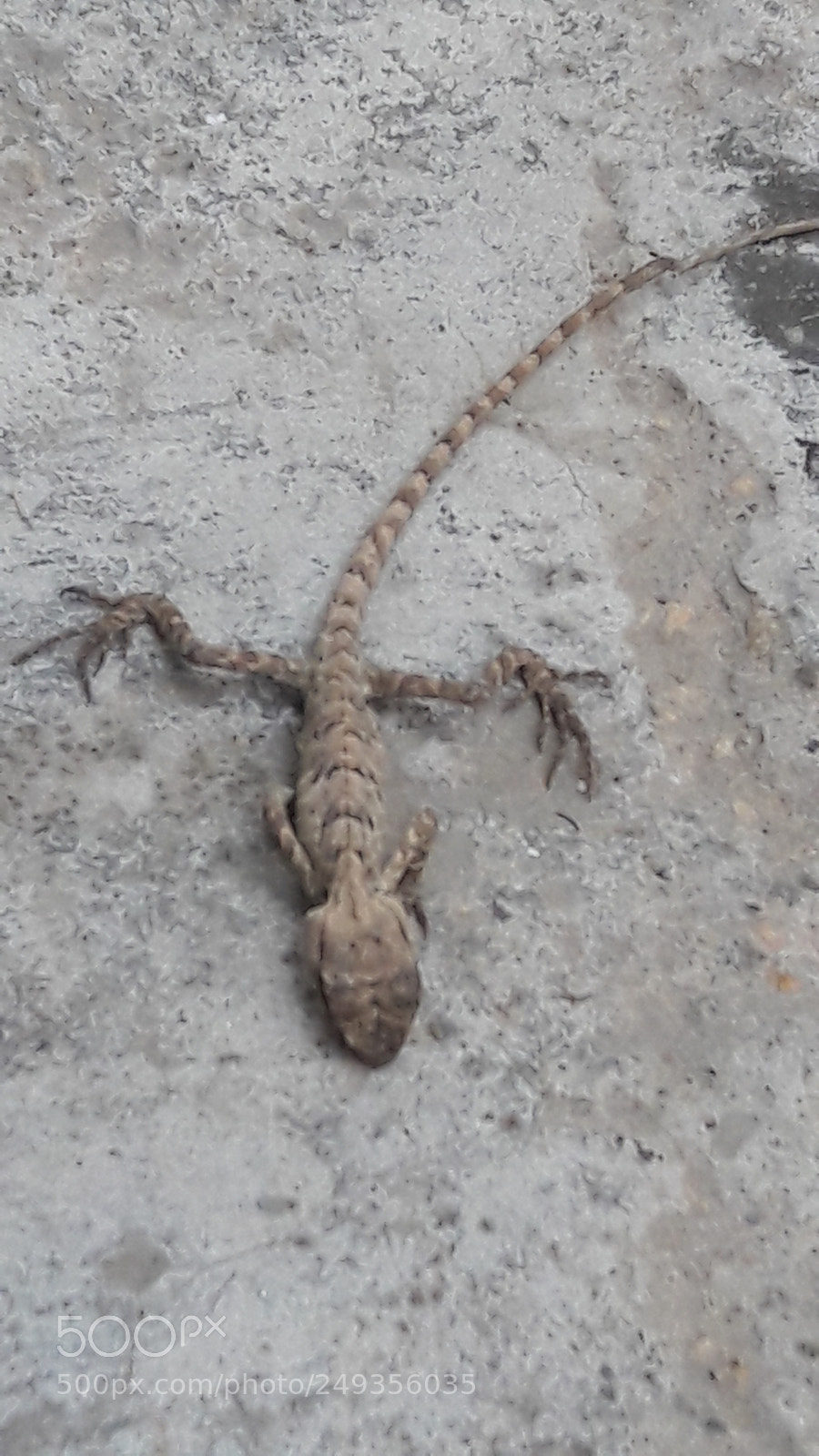 Samsung Galaxy J7 sample photo. Untitled photography