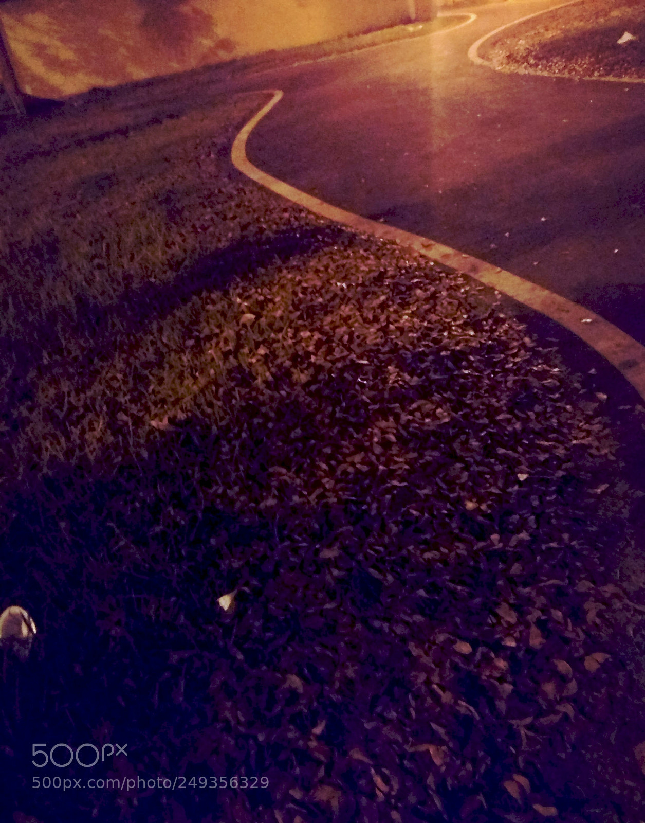 Xiaomi Redmi Note 4 sample photo. Road in a college photography