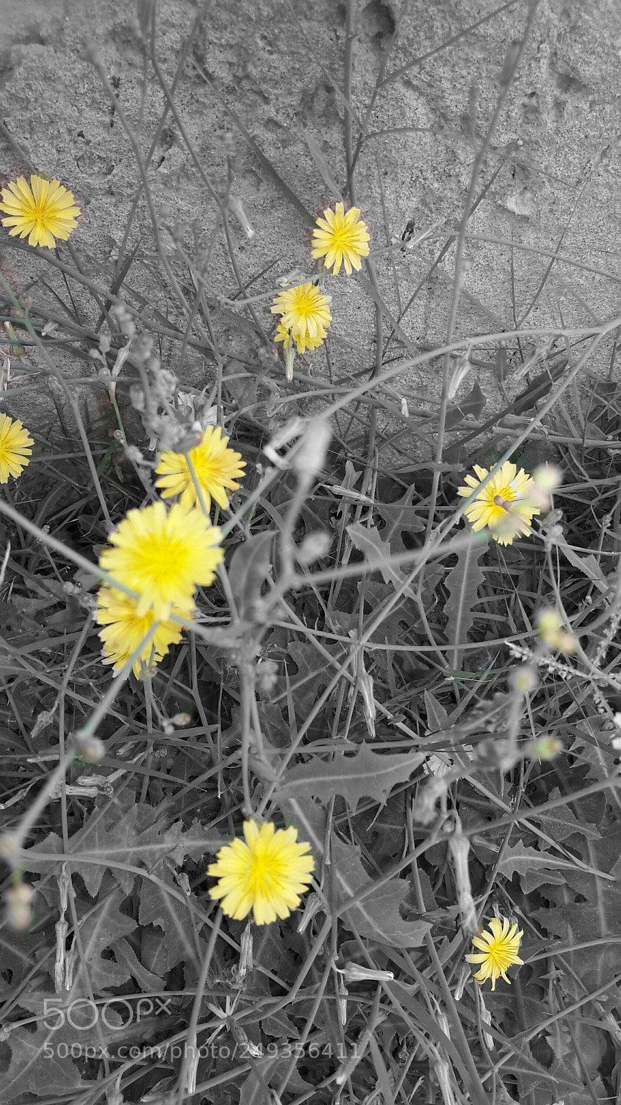 Samsung Galaxy J7 sample photo. Untitled photography