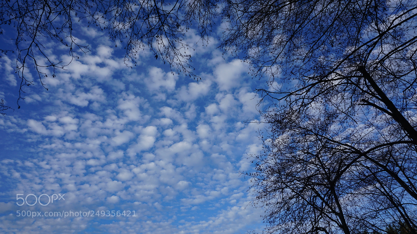 Sony a6000 sample photo. Scriber lake park photography