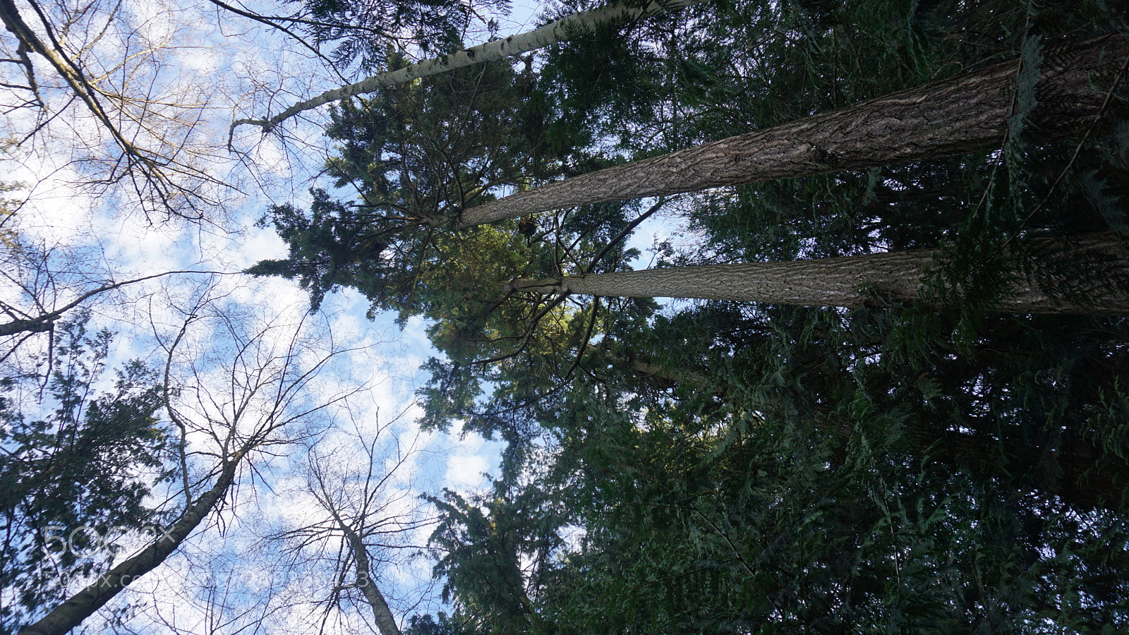 Sony a6000 sample photo. Scriber lake park photography