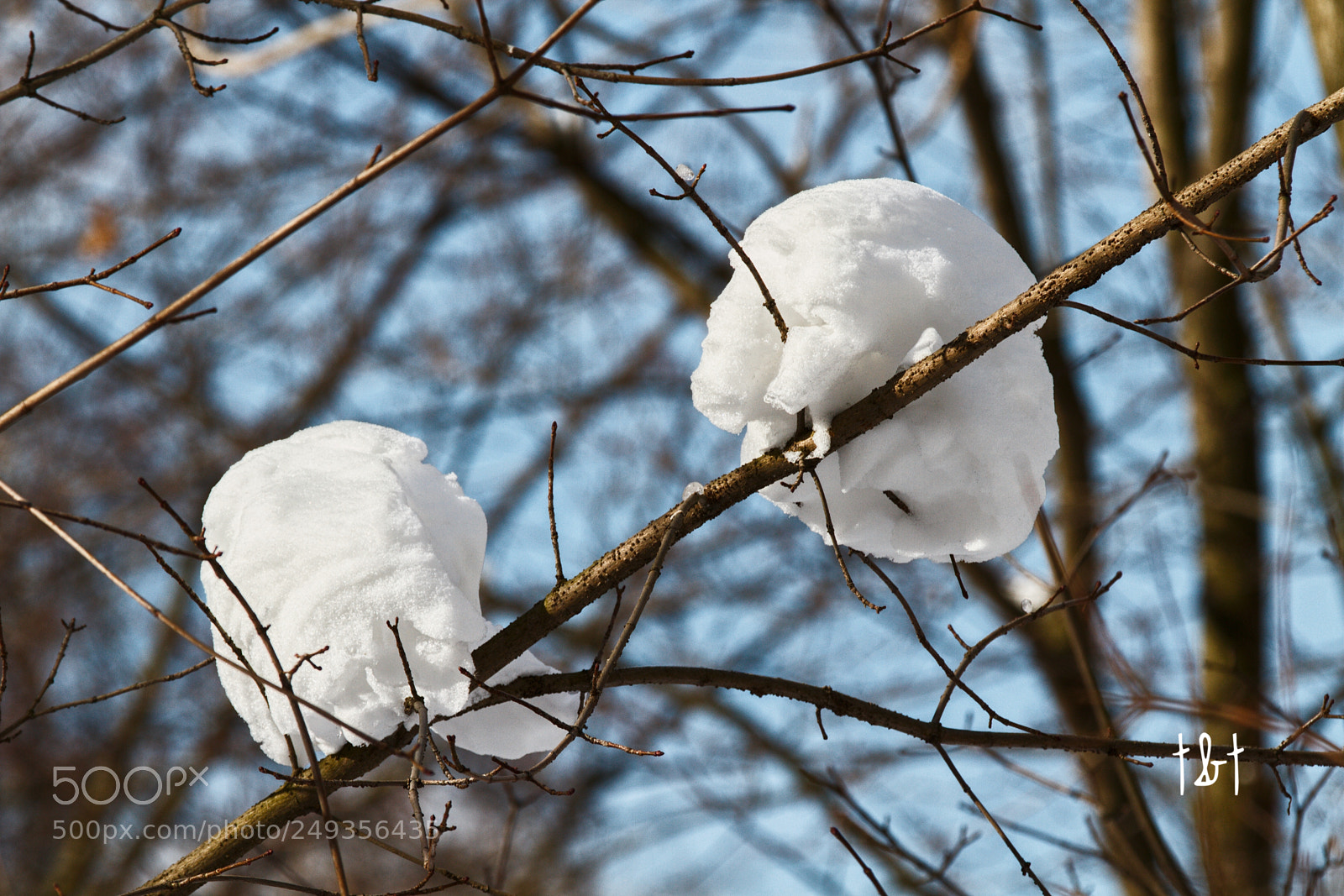 Canon EOS 7D sample photo. Untitled photography