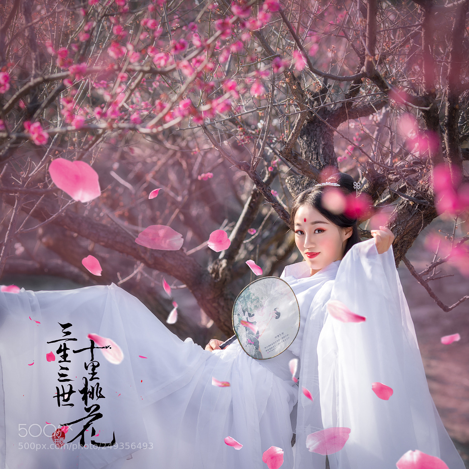 Canon EOS 5D Mark IV sample photo. 三生三世十里桃花 photography