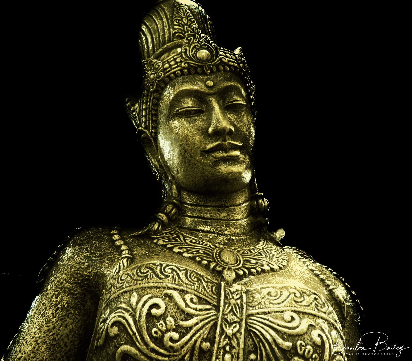 Canon PowerShot SX730 HS sample photo. Golden onlooker photography