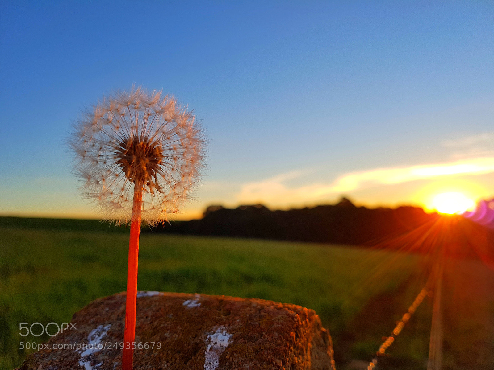Samsung Galaxy S7 Edge sample photo. Angel photography