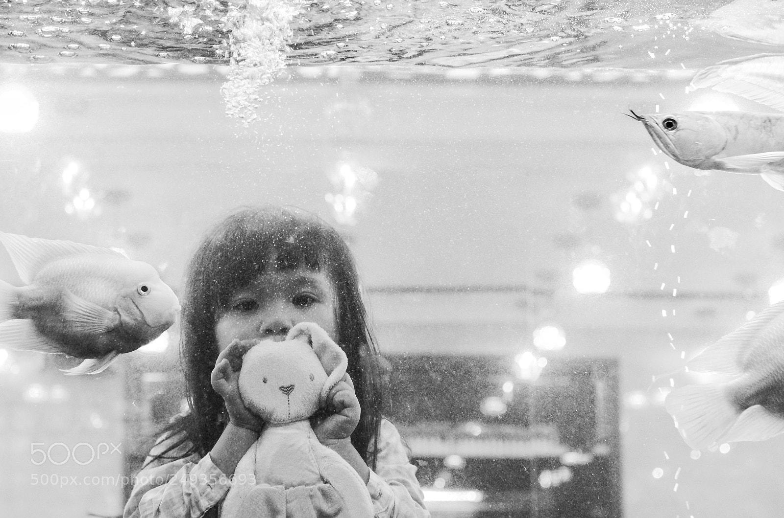 Nikon D7000 sample photo. Aquarium photography