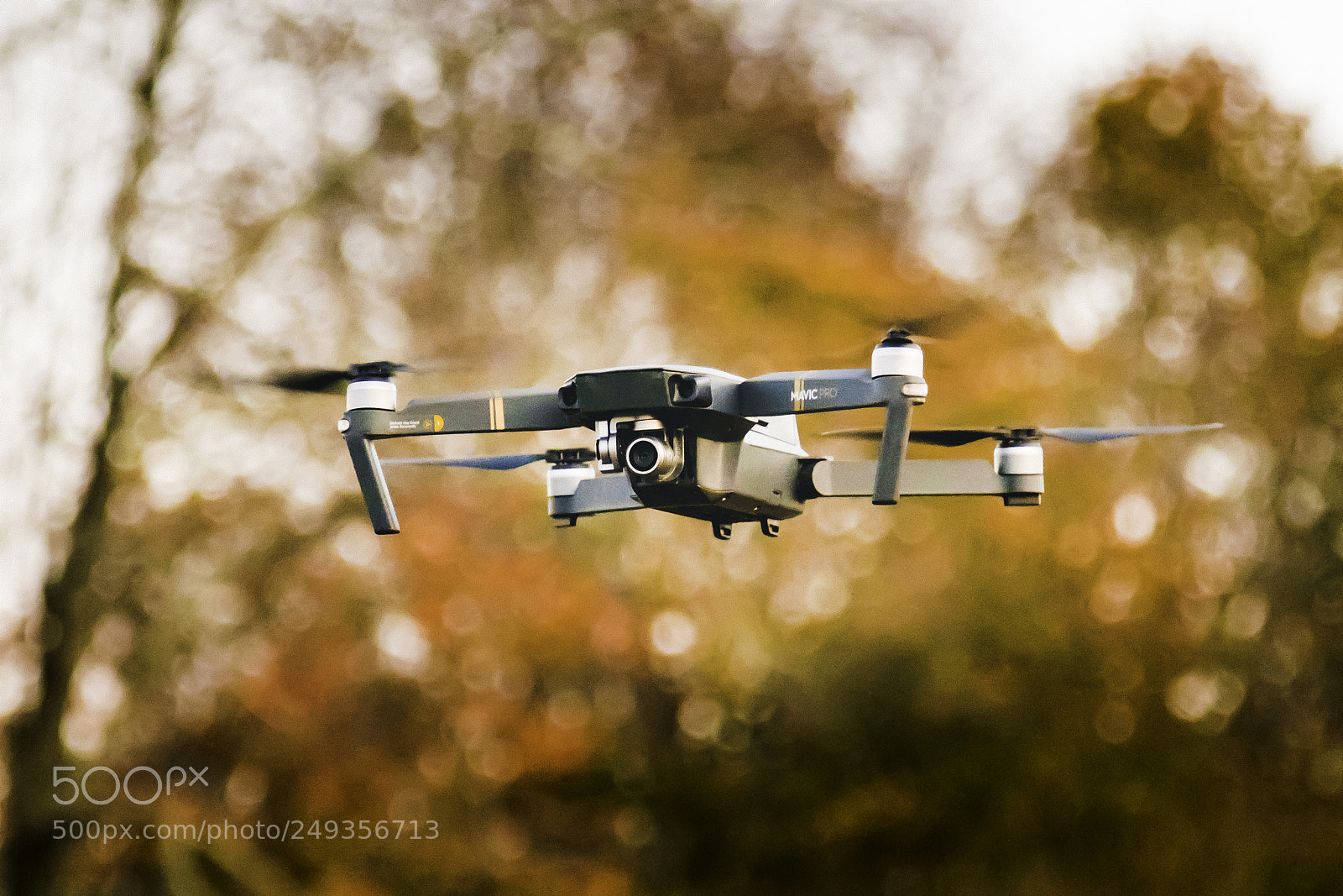 Canon EOS 7D Mark II sample photo. Mavic pro in autumn photography