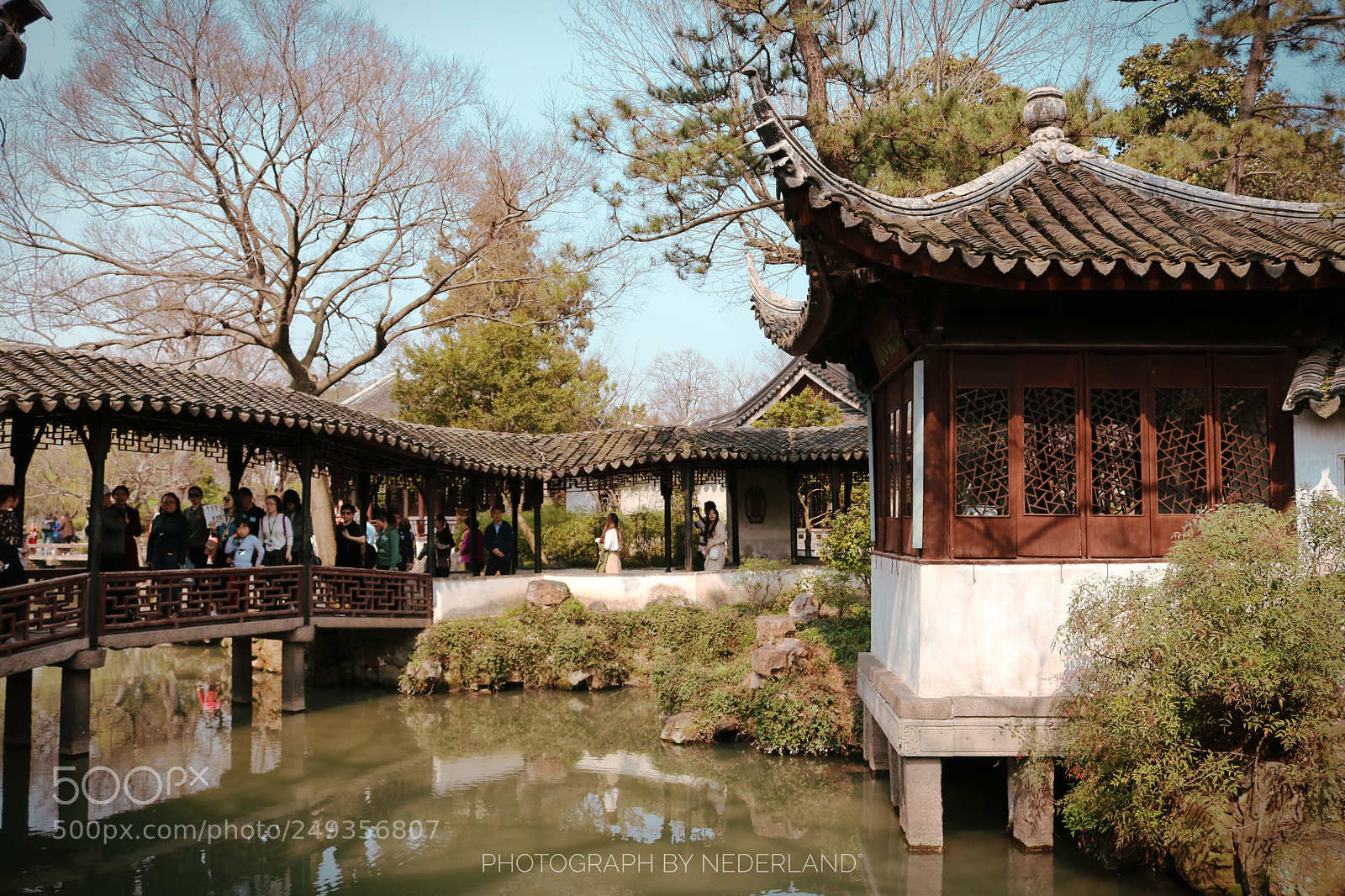 Canon EOS 750D (EOS Rebel T6i / EOS Kiss X8i) sample photo. The humble administrator's garden photography