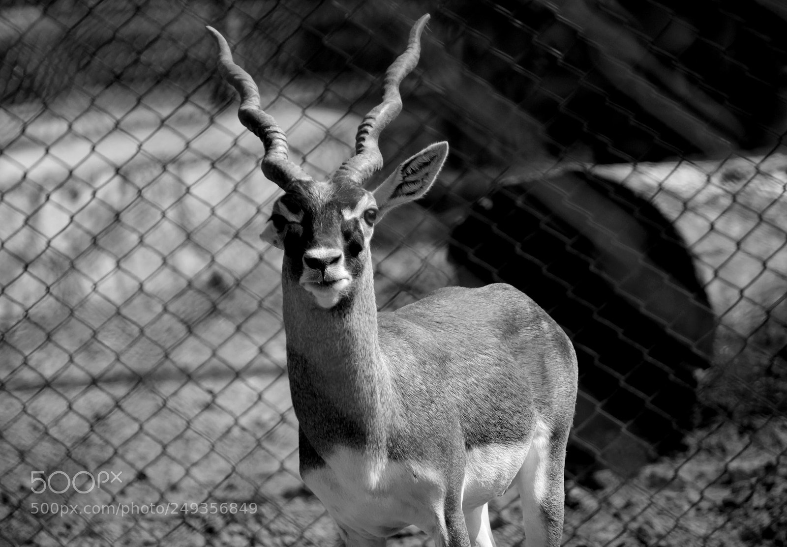 Canon EOS 1200D (EOS Rebel T5 / EOS Kiss X70 / EOS Hi) sample photo. Give back my home photography