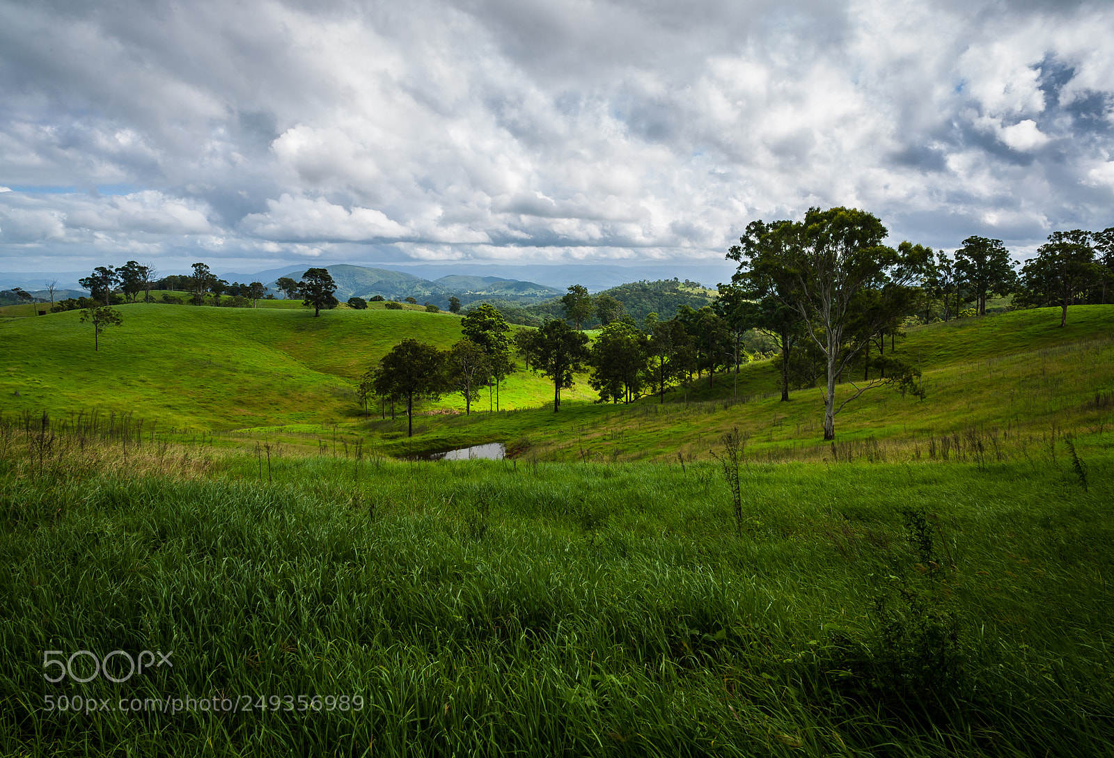 Canon EOS 5D sample photo. Mount mee vista photography