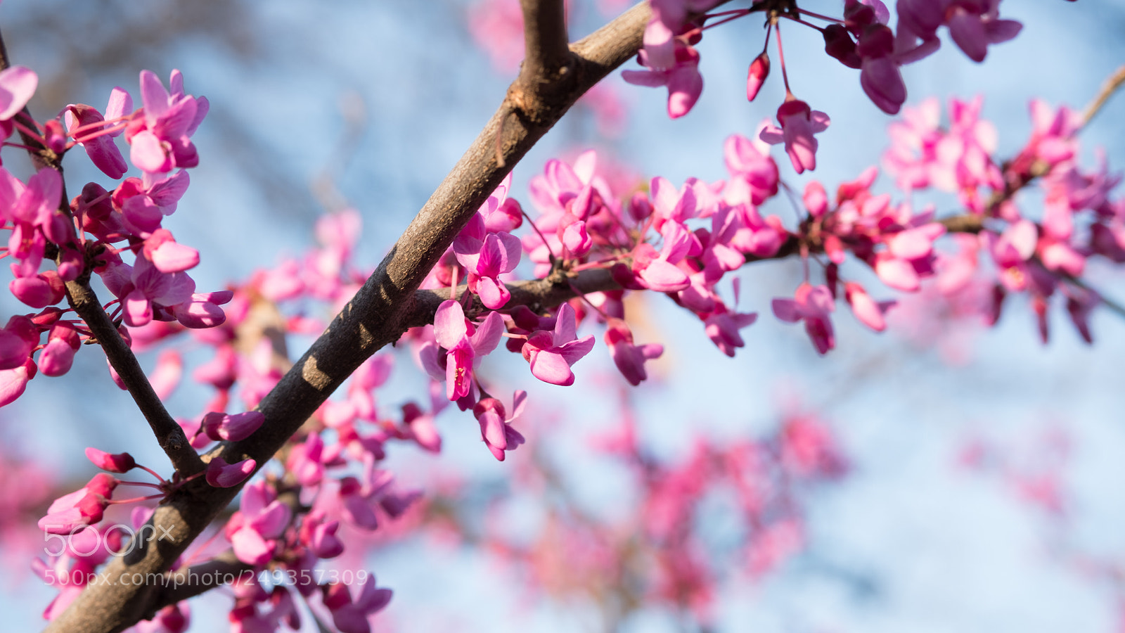 Fujifilm X-T2 sample photo. Gorgeous! photography