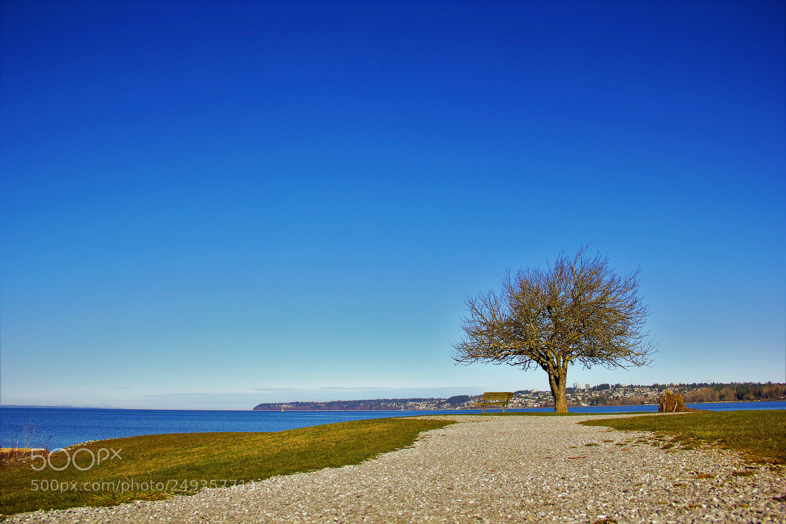 Canon EOS 60D sample photo. What a shiny day photography