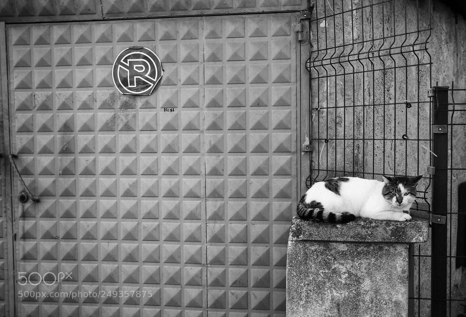 Canon EOS 70D sample photo. No parking photography