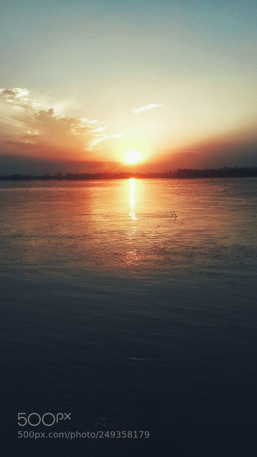 Samsung Galaxy S4 Mini sample photo. Untitled photography