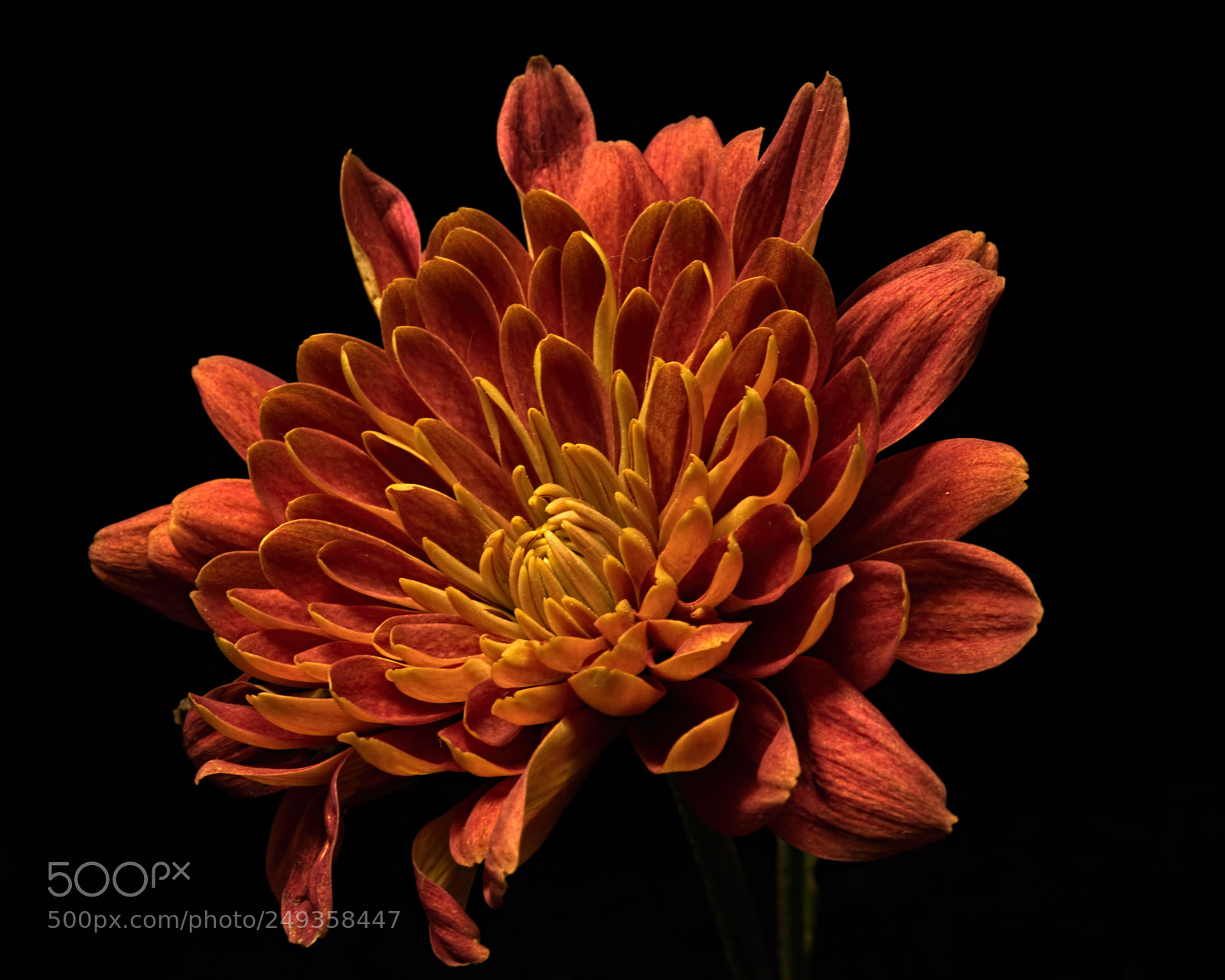 Nikon D810 sample photo. At the end of photography