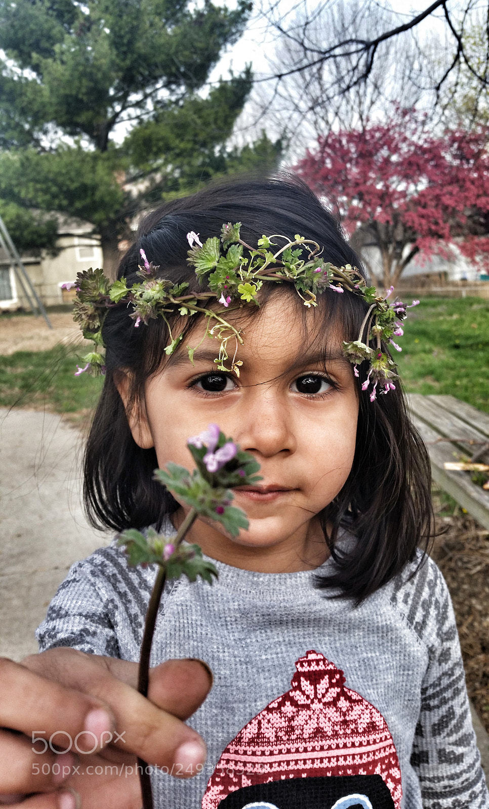 Samsung Galaxy S5 sample photo. Flower girl photography