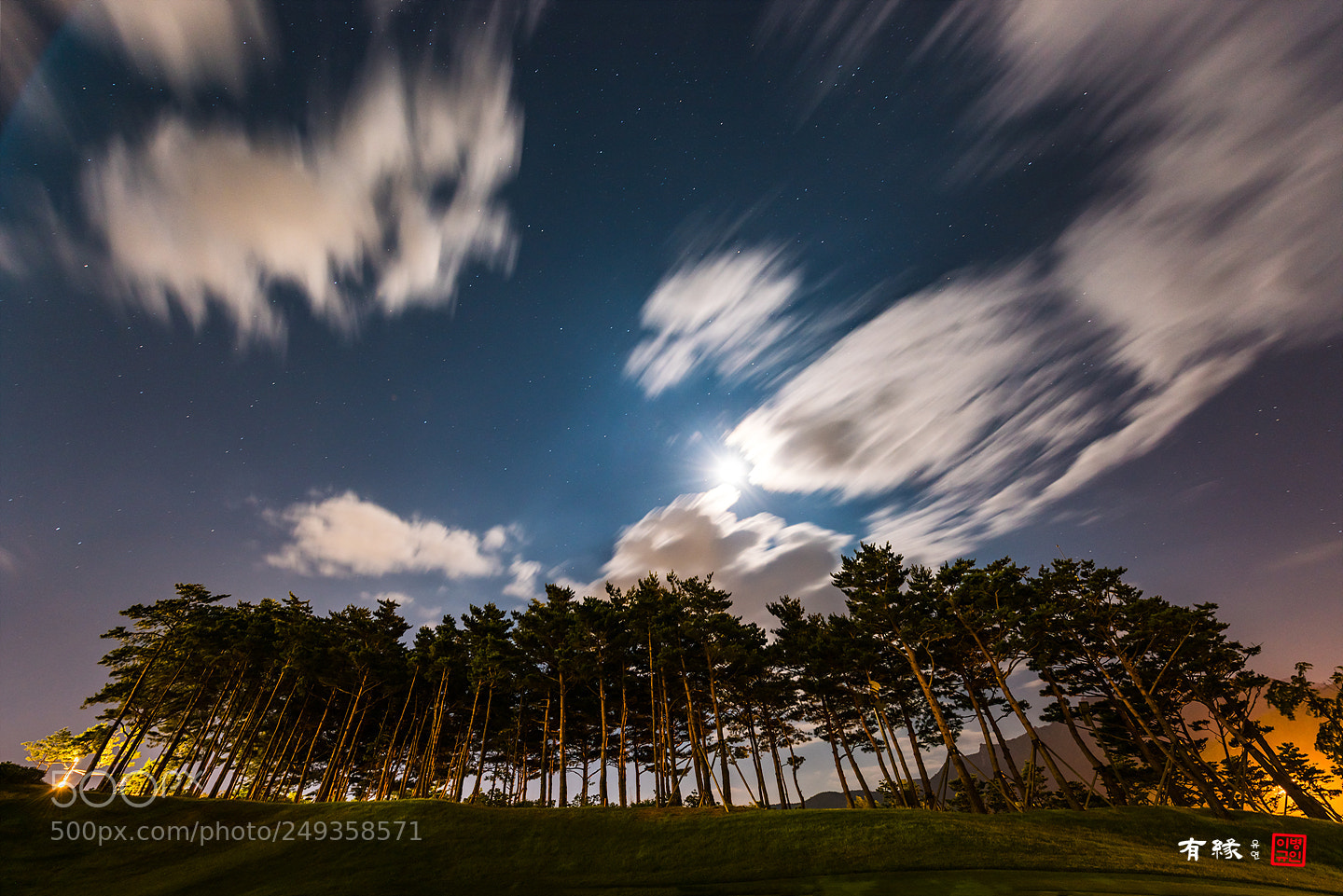 Nikon D810 sample photo. . photography