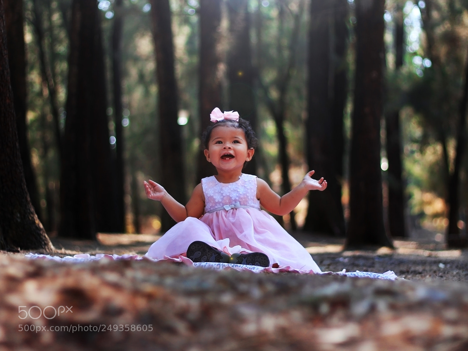 Canon EOS 1200D (EOS Rebel T5 / EOS Kiss X70 / EOS Hi) sample photo. Portafolio photography