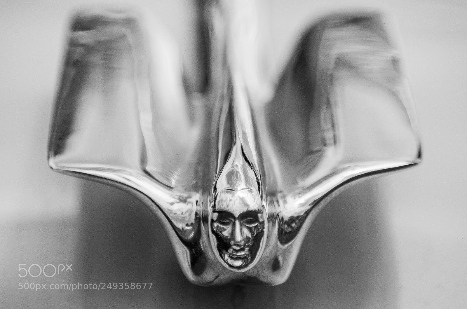 Nikon D5300 sample photo. Hood ornament photography