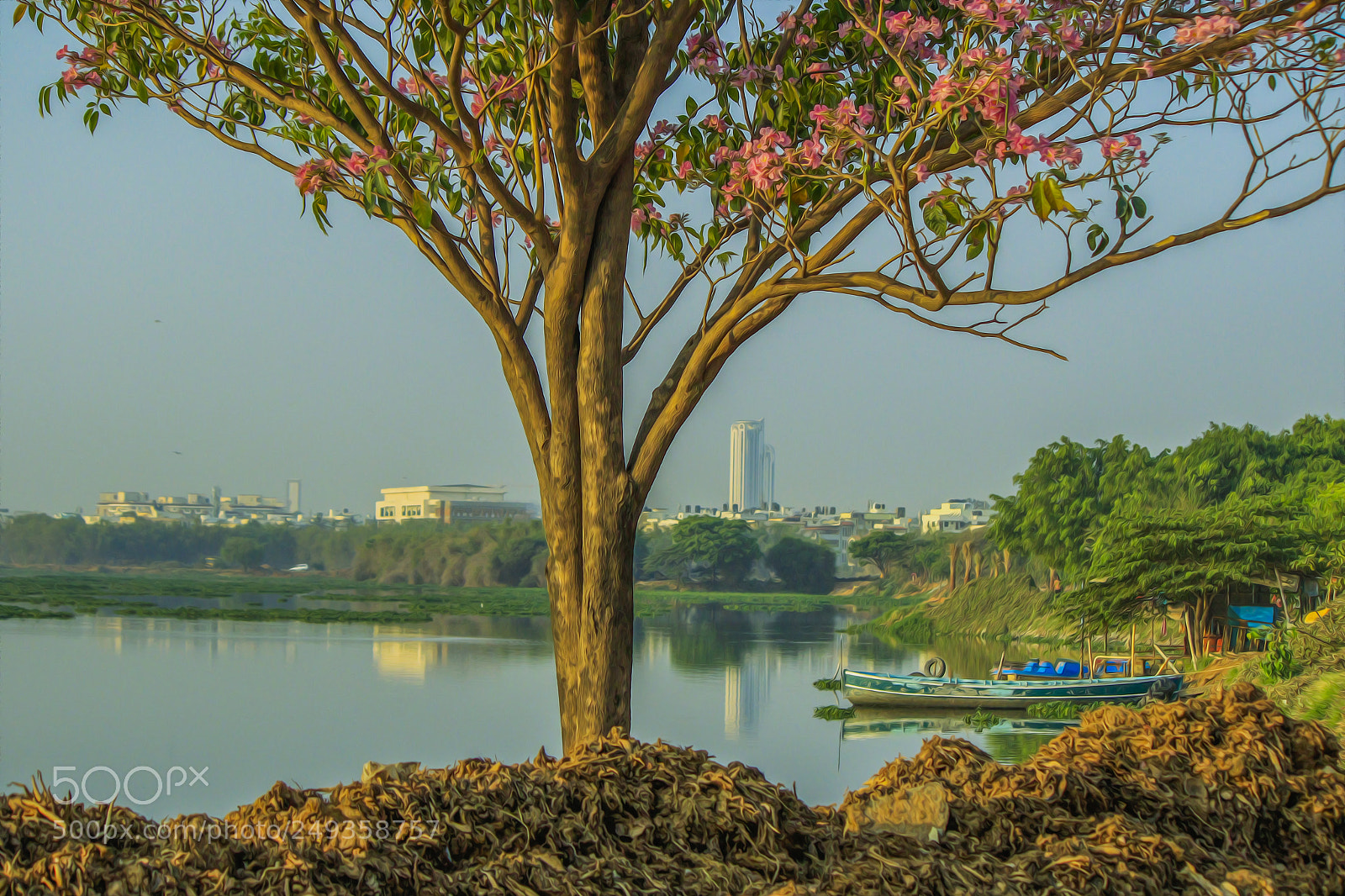 Canon EOS 7D Mark II sample photo. Nature photography