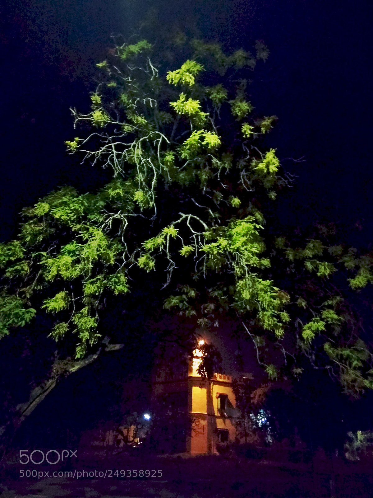 Xiaomi Redmi Note 4 sample photo. Heaven's shelter. photography