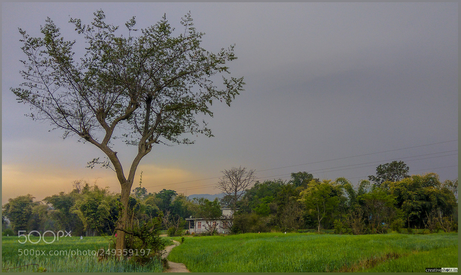 Xiaomi Redmi Note3 sample photo. #beautyofnature photography