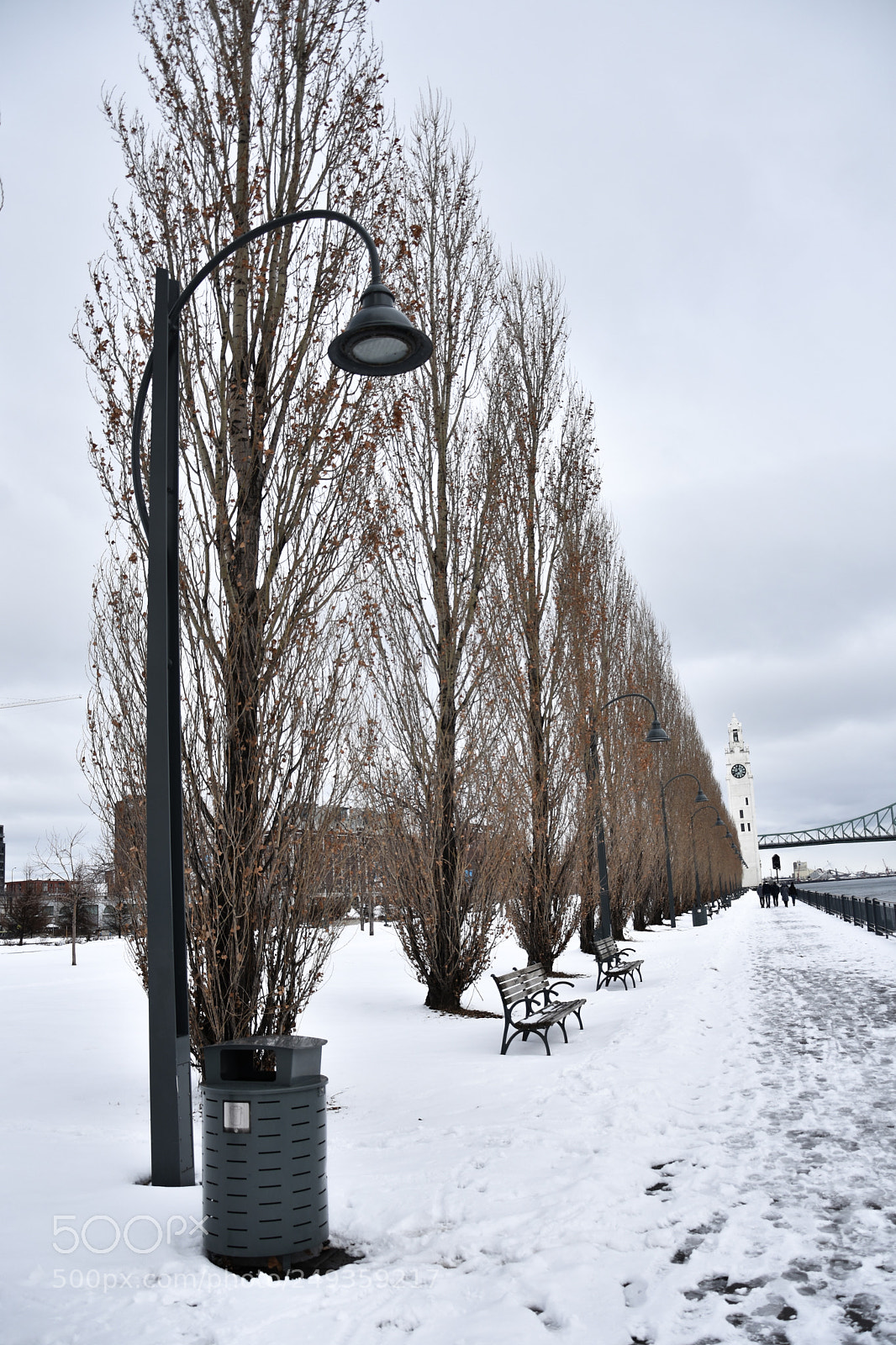Nikon D3400 sample photo. Treeinline photography