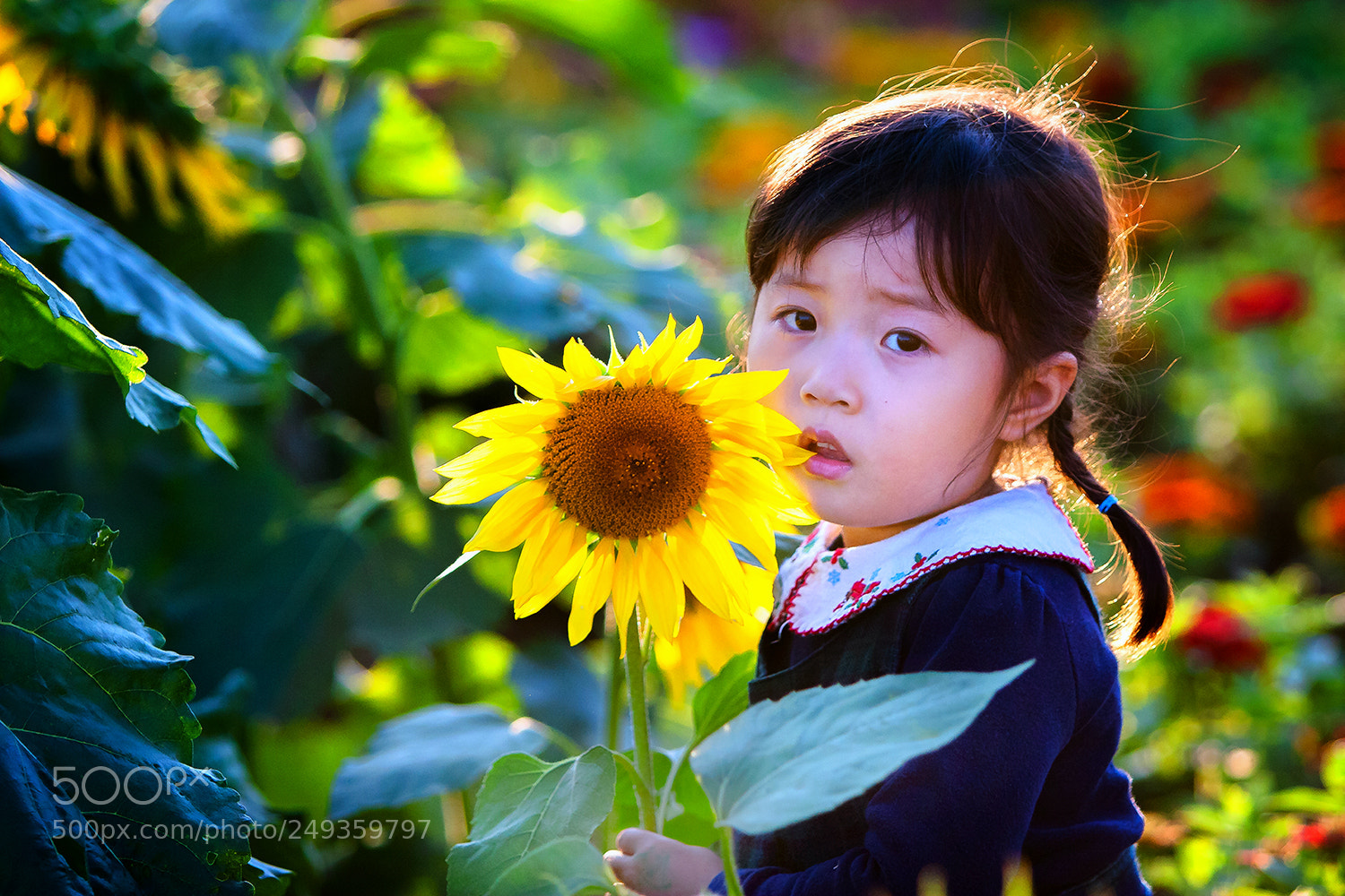 Canon EOS 30D sample photo. A sunflower like child photography