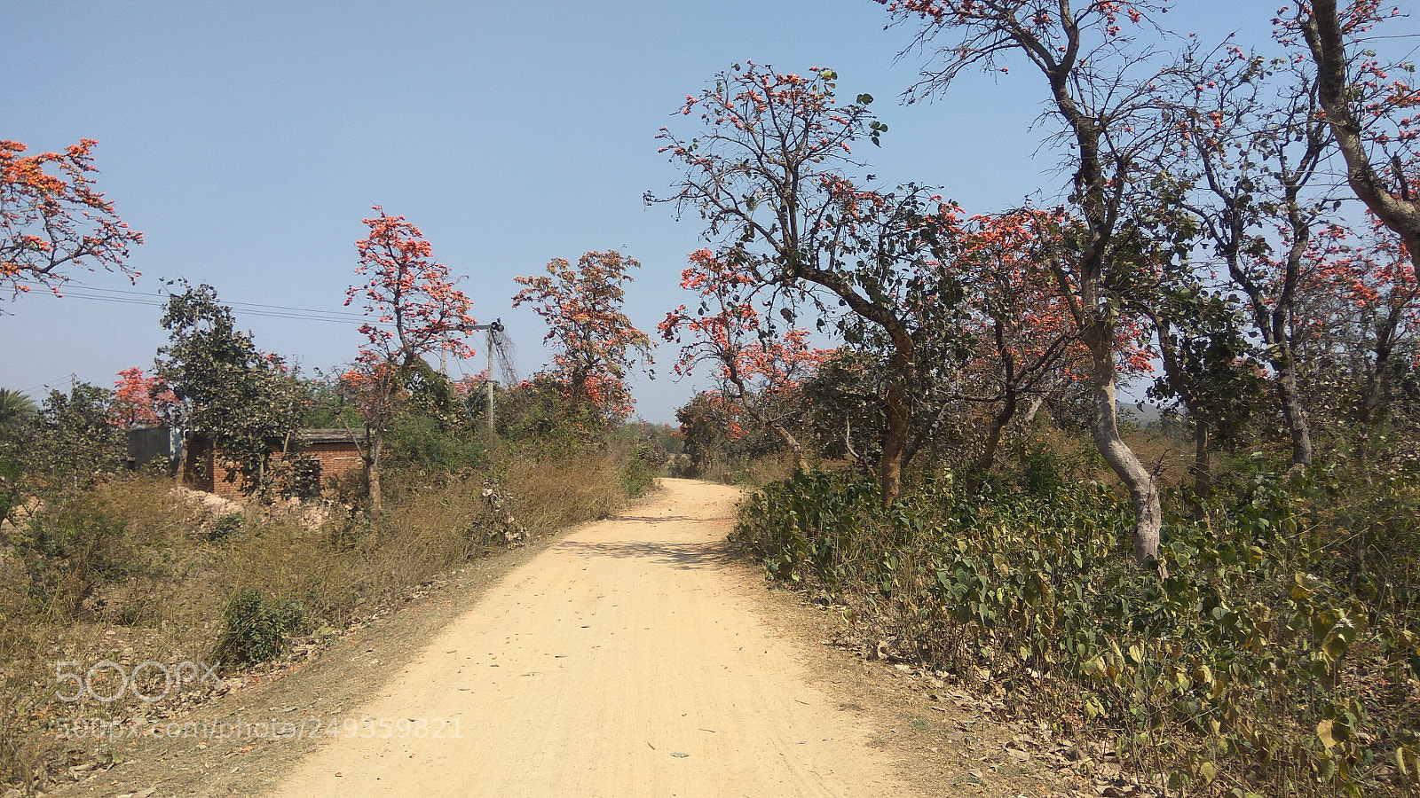 Xiaomi Redmi Note3 sample photo. Palash photography