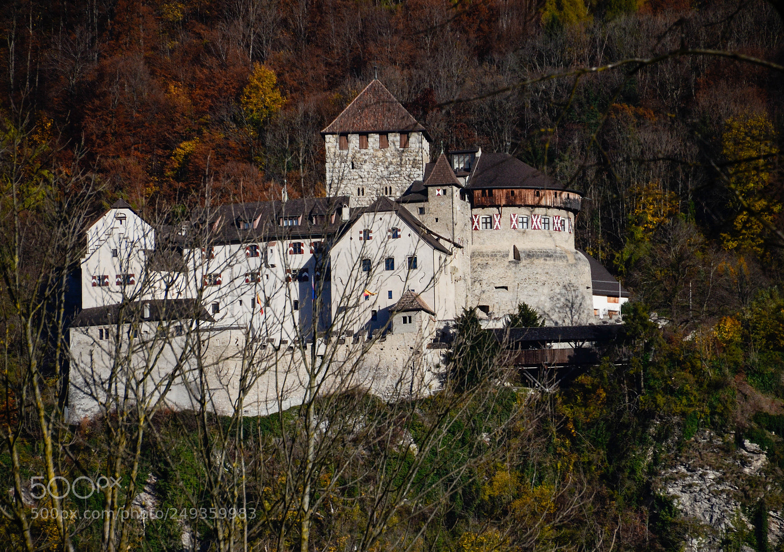 Nikon D5100 sample photo. Vaduz photography