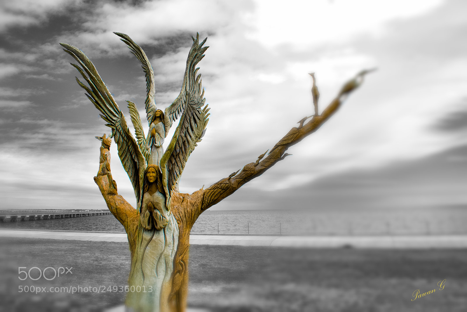 Nikon D3400 sample photo. Bay st. louis angel photography