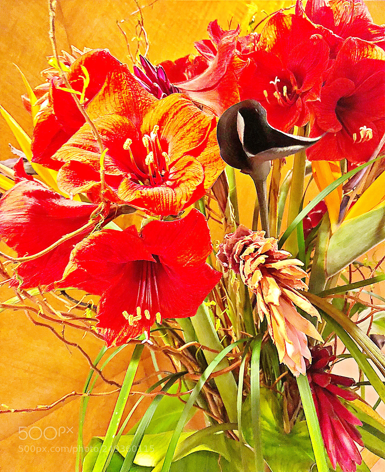 Apple iPhone X sample photo. Flowers photography