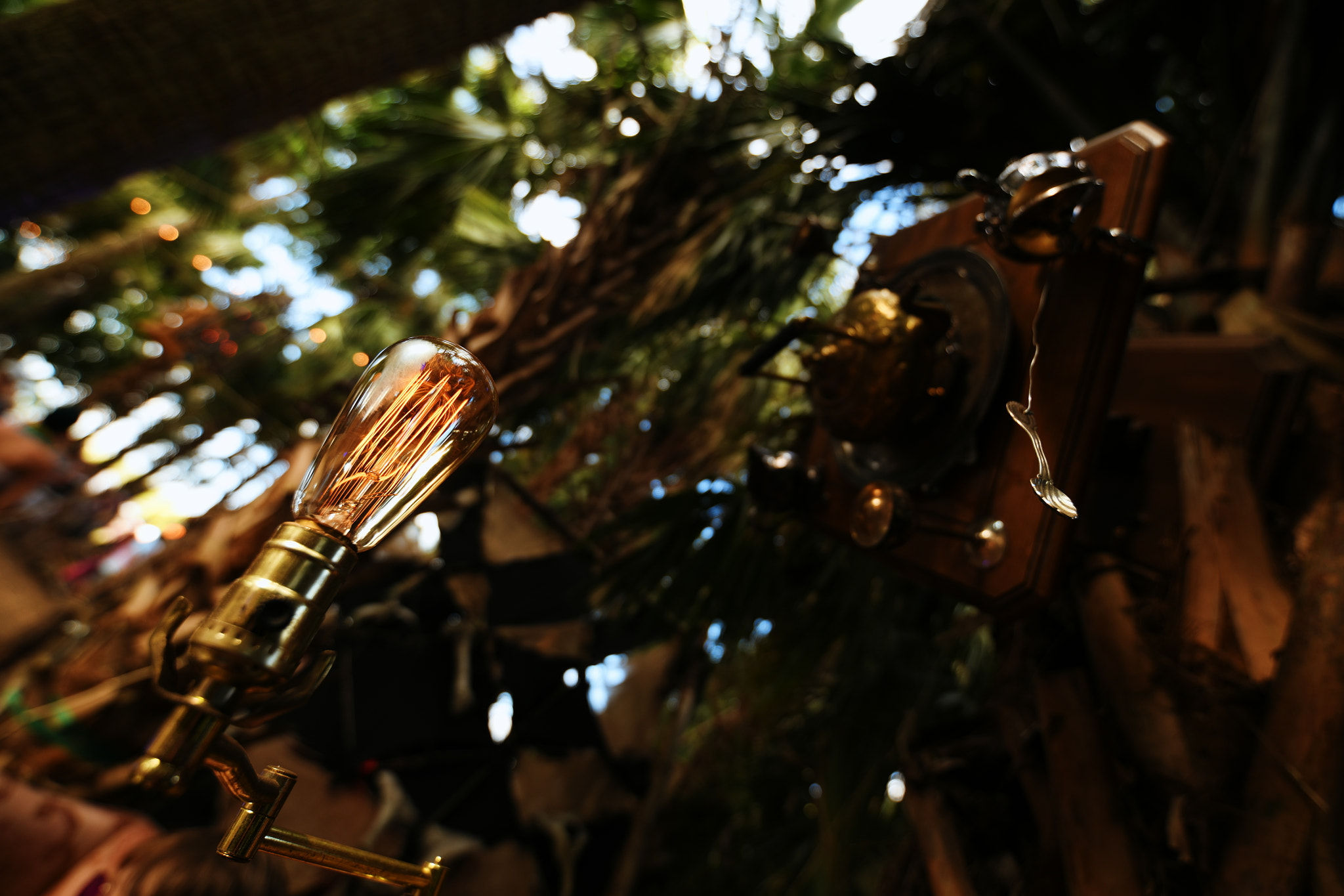 Tamron SP 15-30mm F2.8 Di VC USD sample photo. B u l b photography