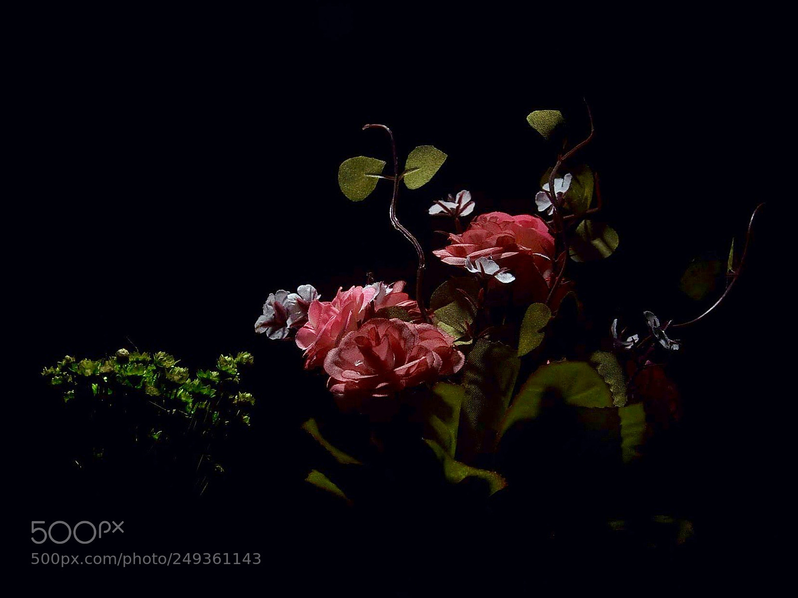 Nikon D90 sample photo. In the dark photography
