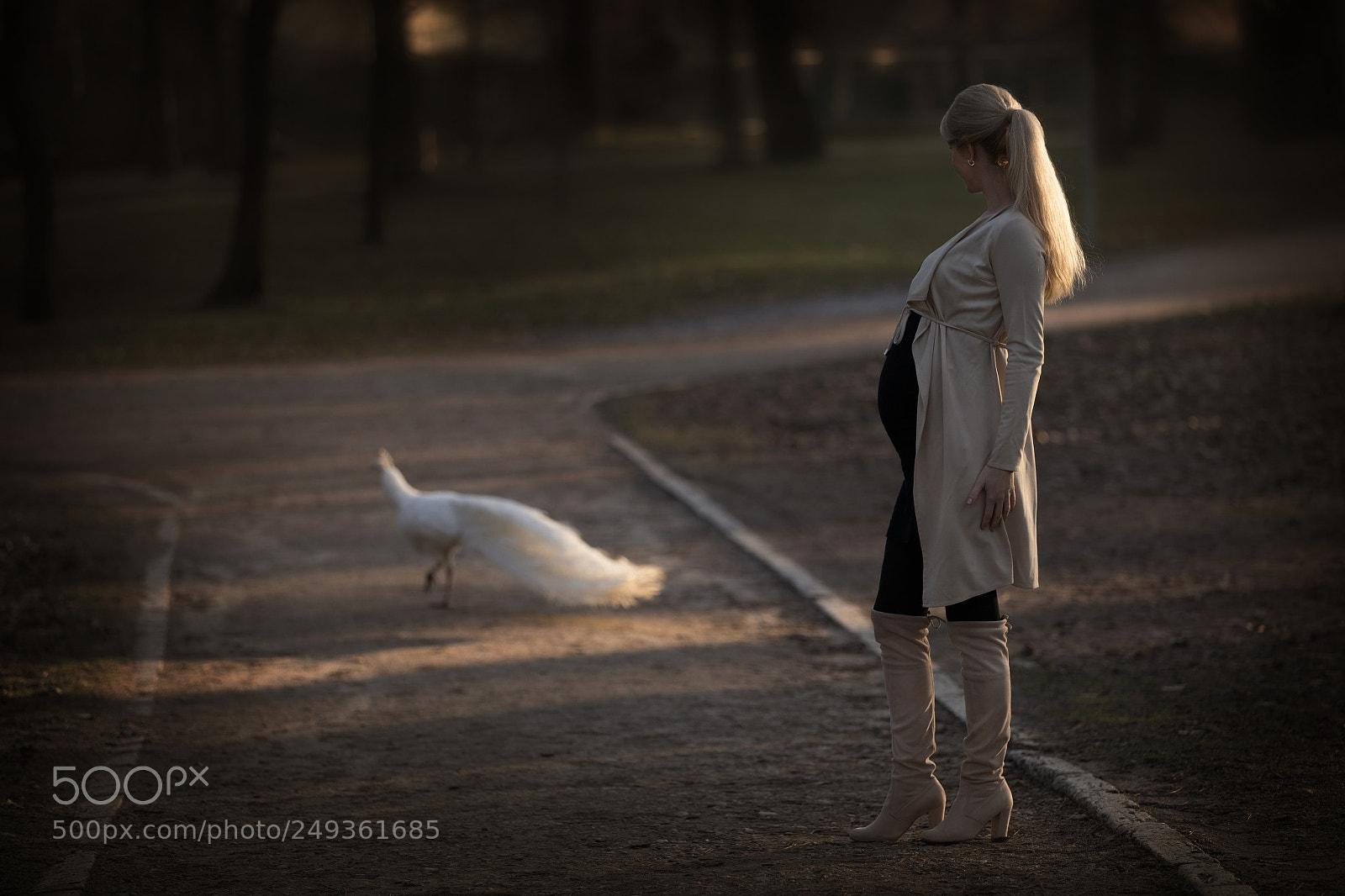 Canon EOS 5D Mark IV sample photo. M photography