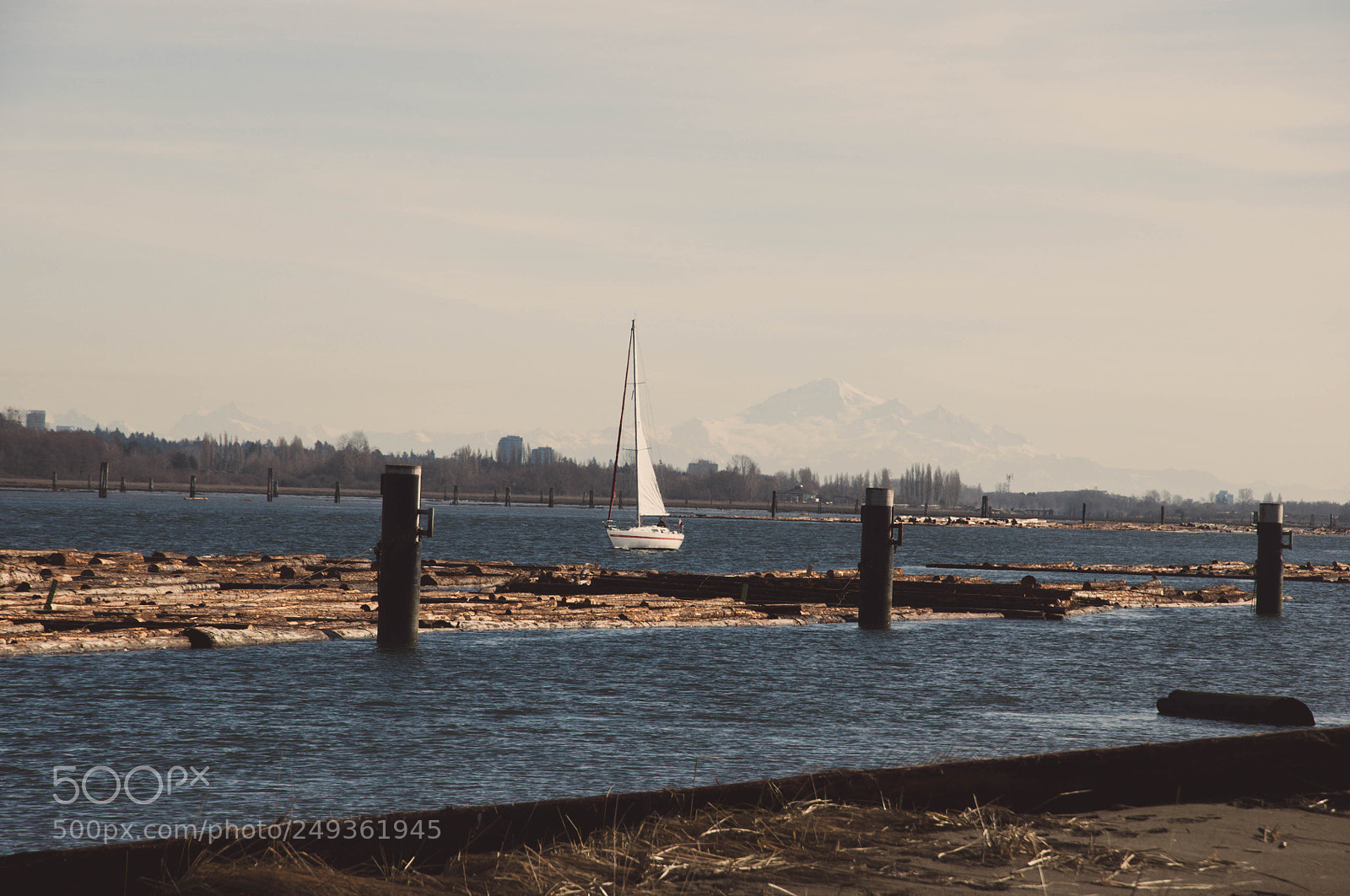 Nikon D90 sample photo. Bay photography