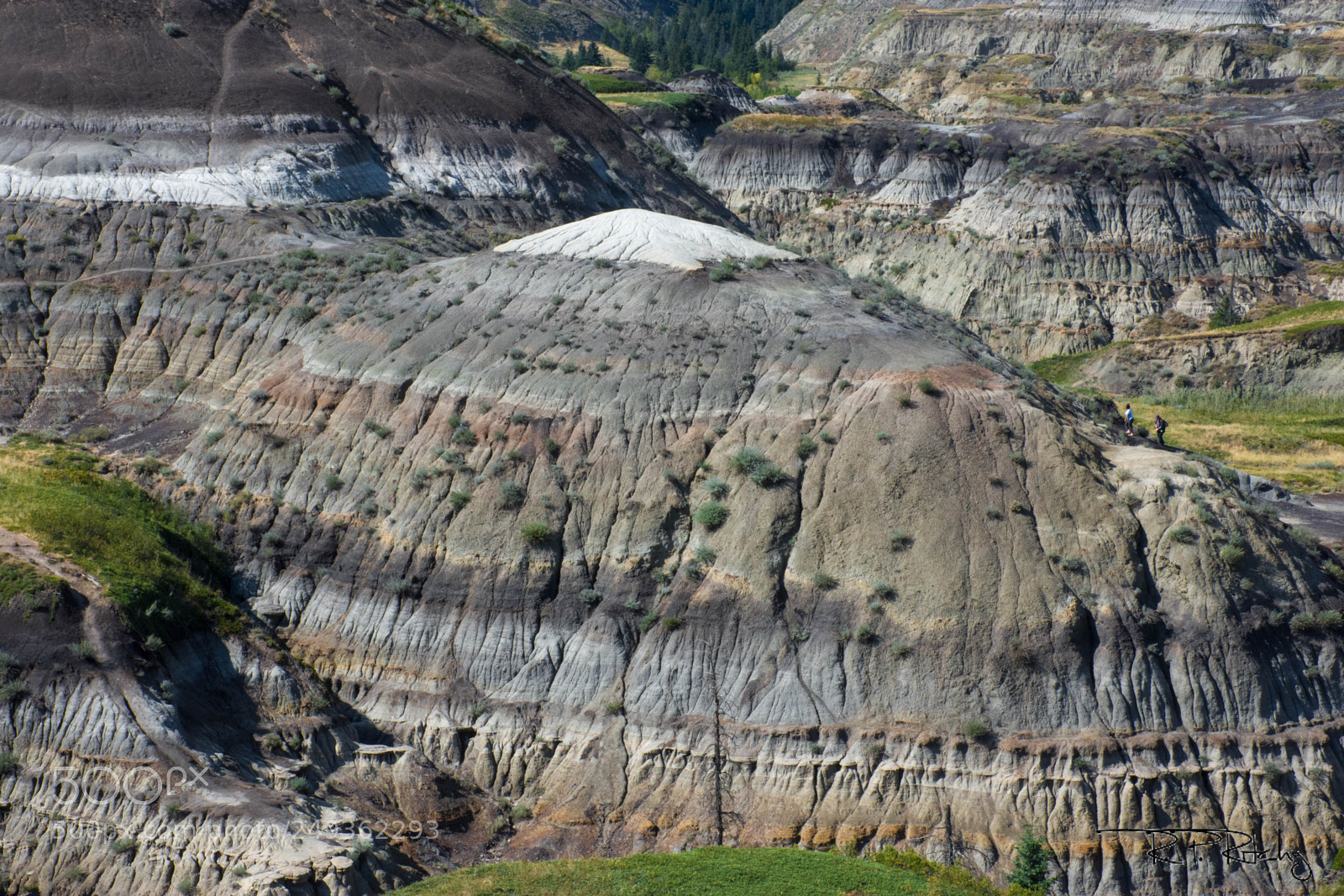 Nikon D7200 sample photo. Drumheller photography