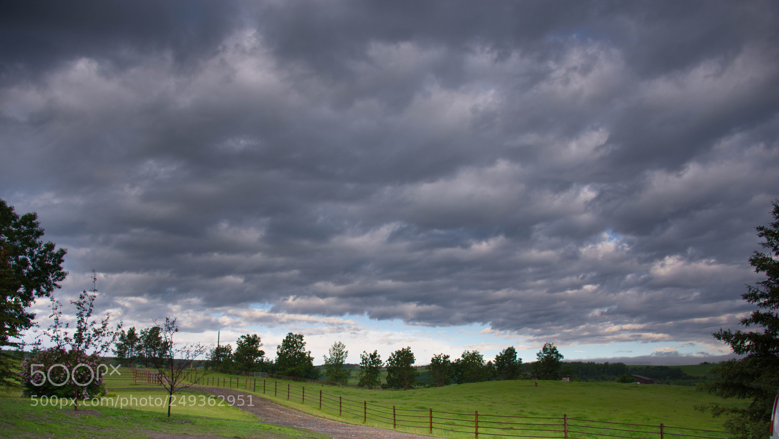 Nikon D7200 sample photo. Bearpaw photography