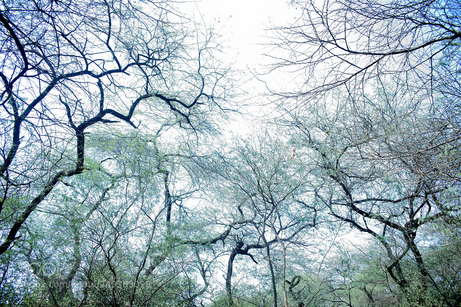 Nikon D3300 sample photo. Solitude photography