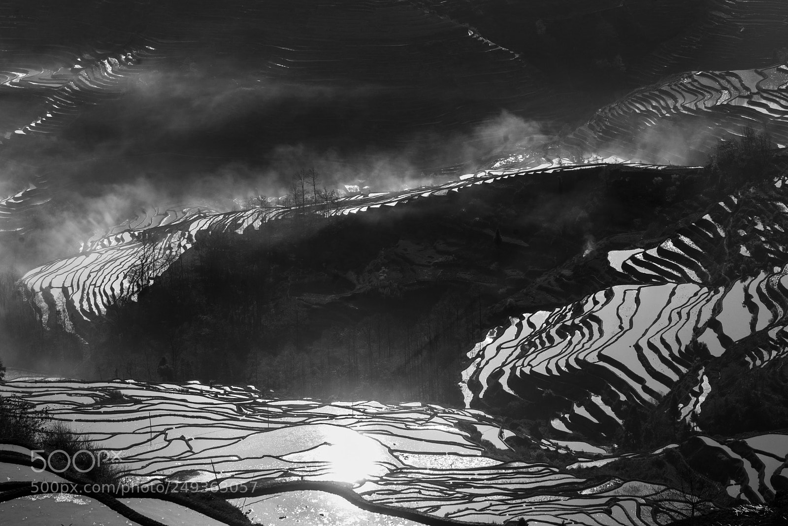 Sony a7 II sample photo. Yuanyang mist photography
