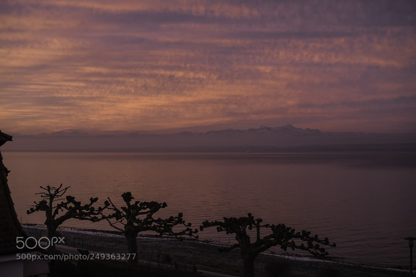 Fujifilm X-T1 sample photo. And early to rise photography