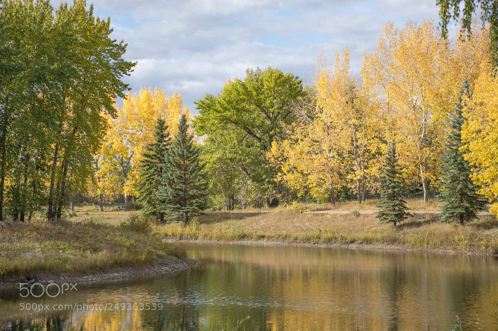 Nikon D7200 sample photo. Carburn photography
