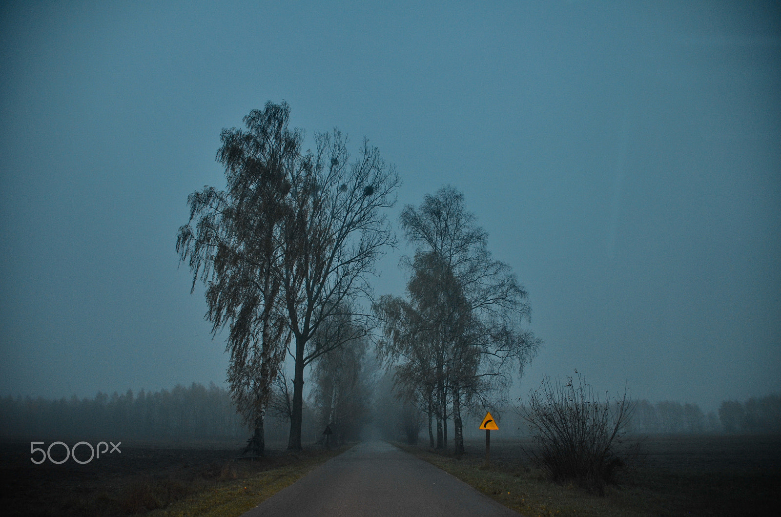 Nikon D7000 sample photo. Early morning photography