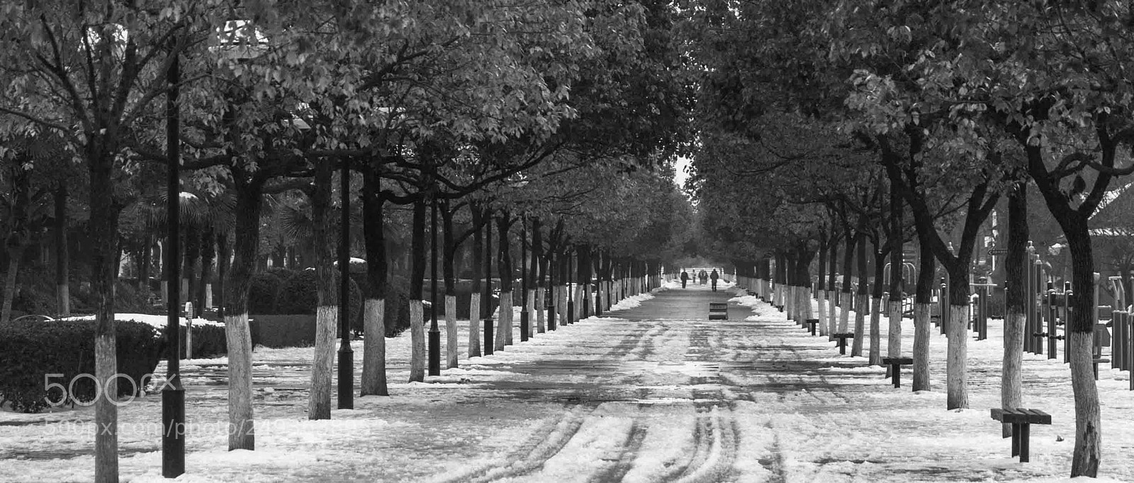 Sony a7 II sample photo. Boulevard photography