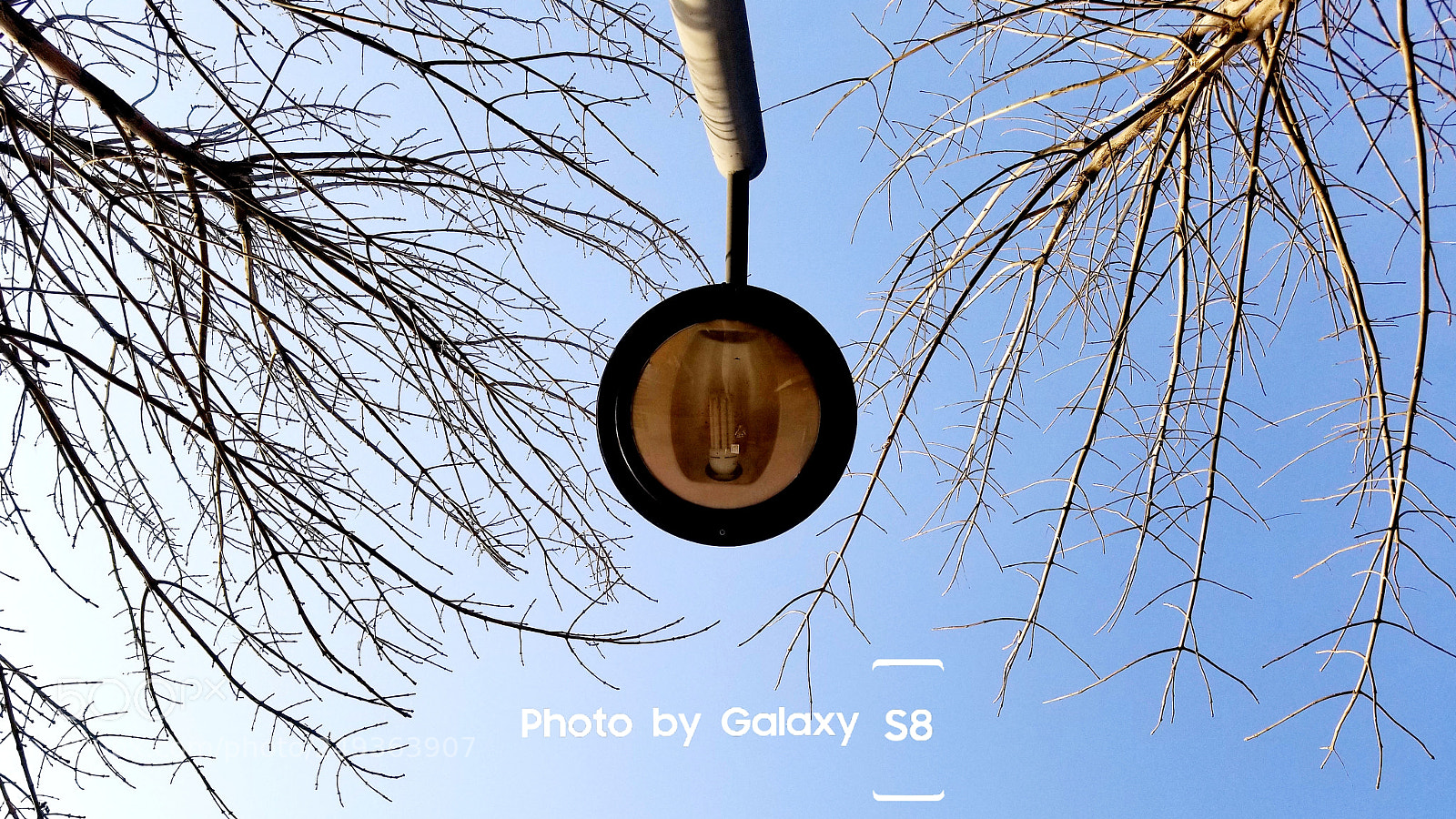 Samsung Galaxy S8 sample photo. Untitled photography