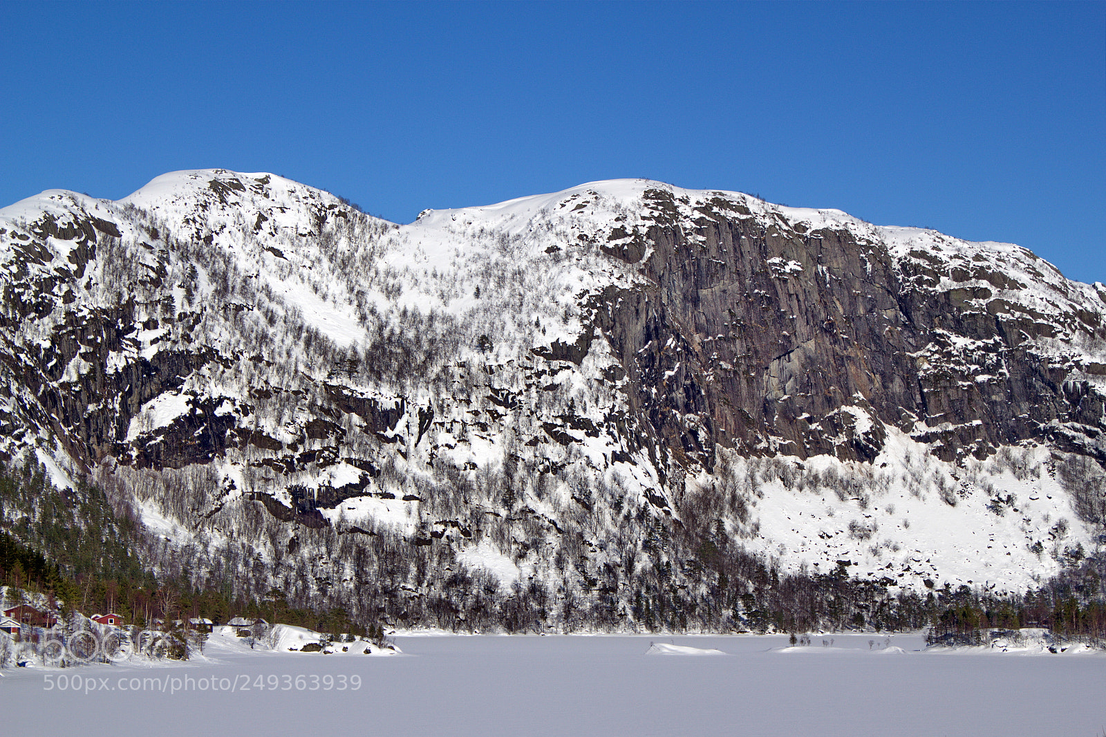 Canon EOS 550D (EOS Rebel T2i / EOS Kiss X4) sample photo. Winter lake photography