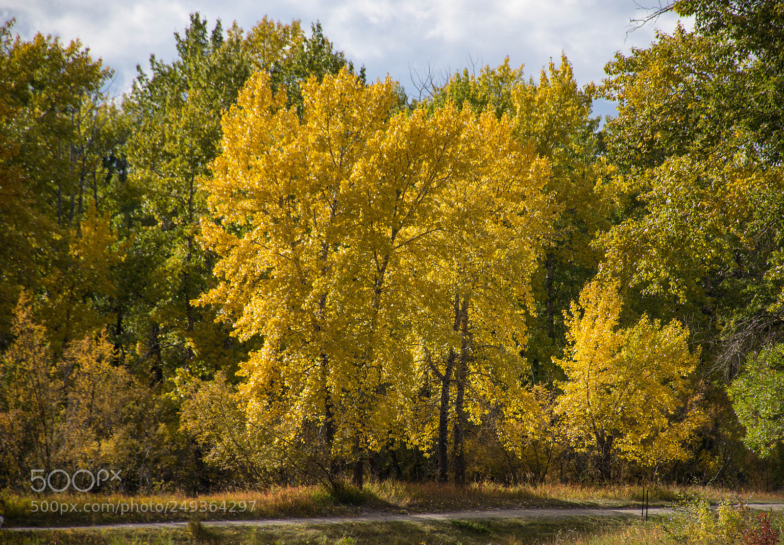 Nikon D7200 sample photo. Carburn park photography